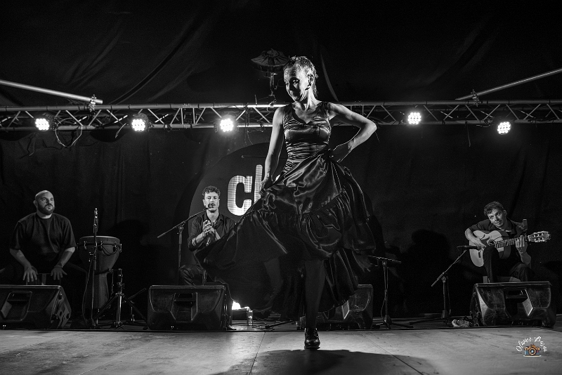 flamenco (116)